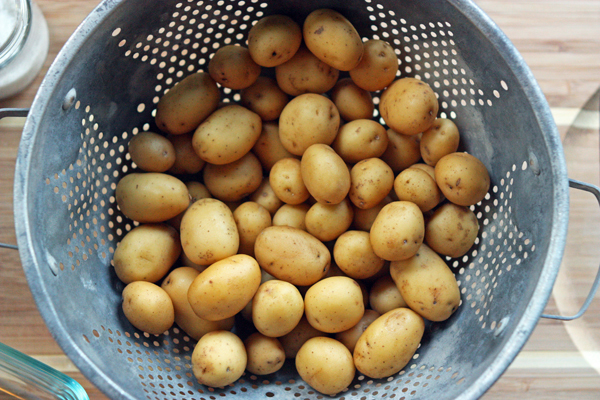 Roasted Tiny Potatoes – 30 Pounds of Apples