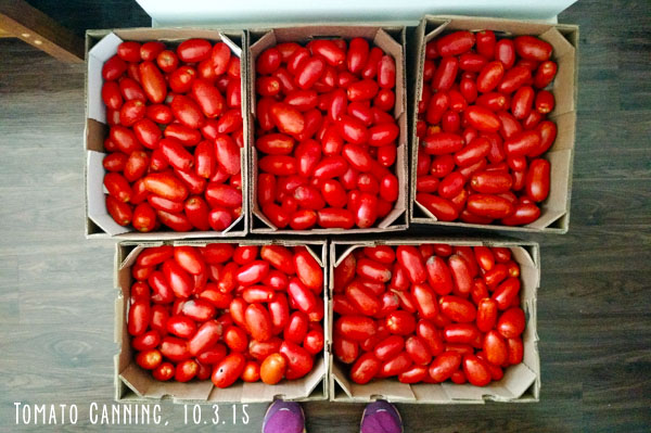 Tomato Canning