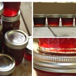 Strawberry Jam, Part III: Recipes & Results