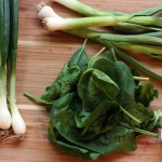 Spring Greens Flatbread Pizza